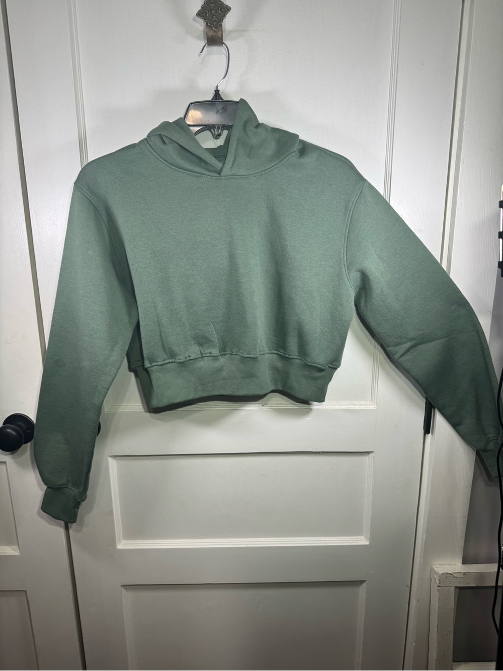 refuge Cropped Hoodie in Sage Green